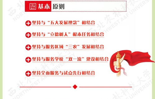 科技推廣處 技術(shù)推廣的橋梁與催化劑